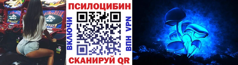Псилоцибиновые грибы прущие грибы  купить наркотик  мега tor  Чистополь 